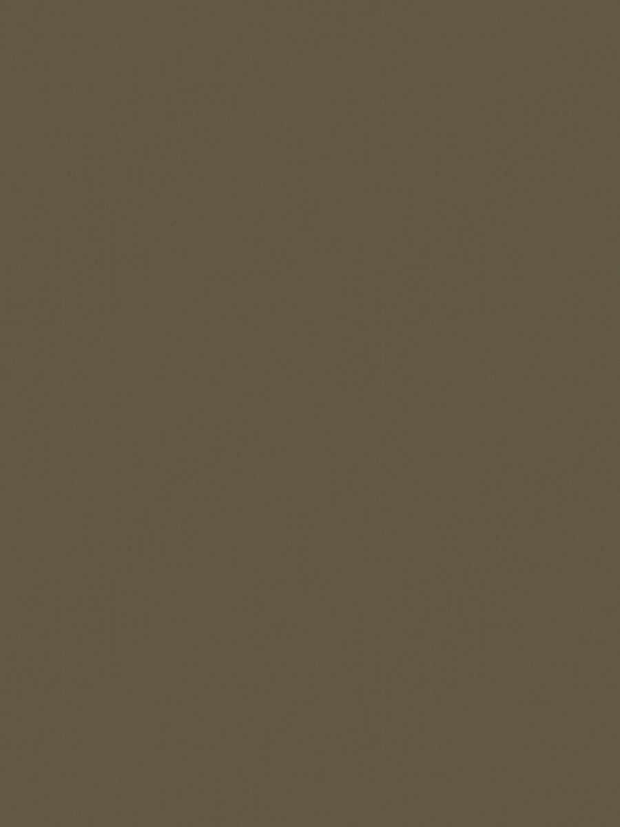 05166-UC – Mushroom