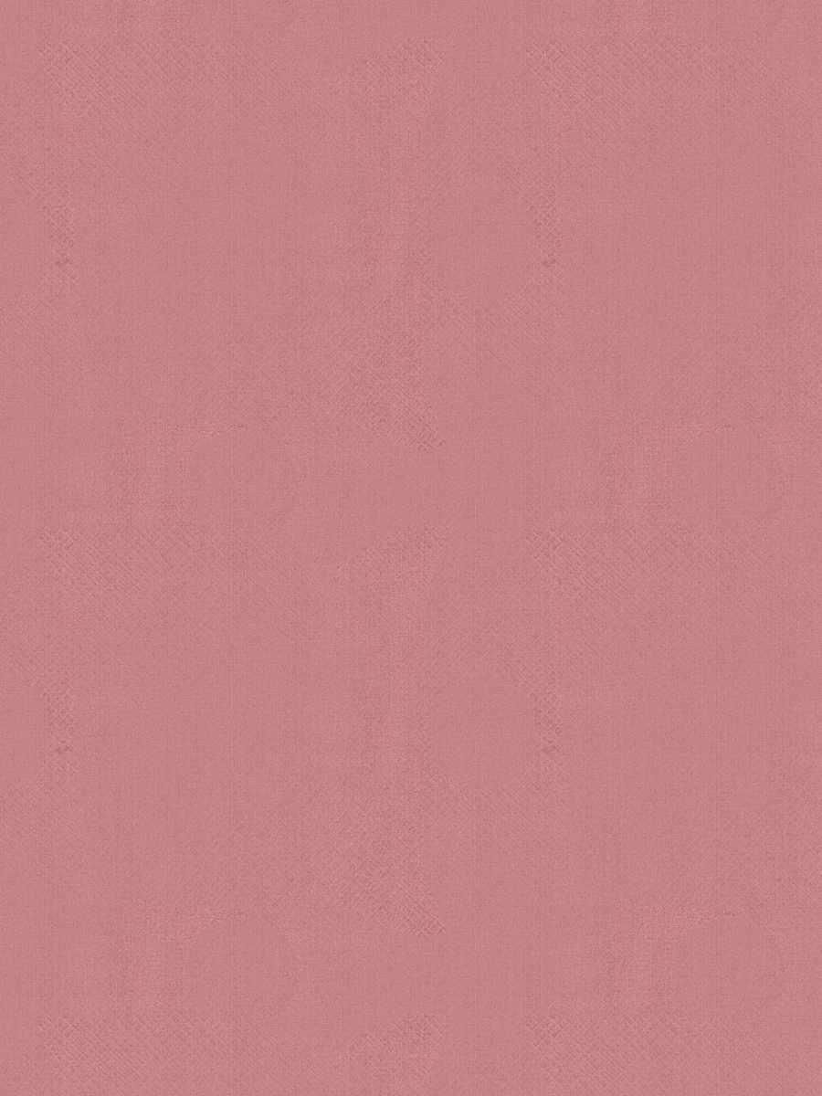 04991 – Peony