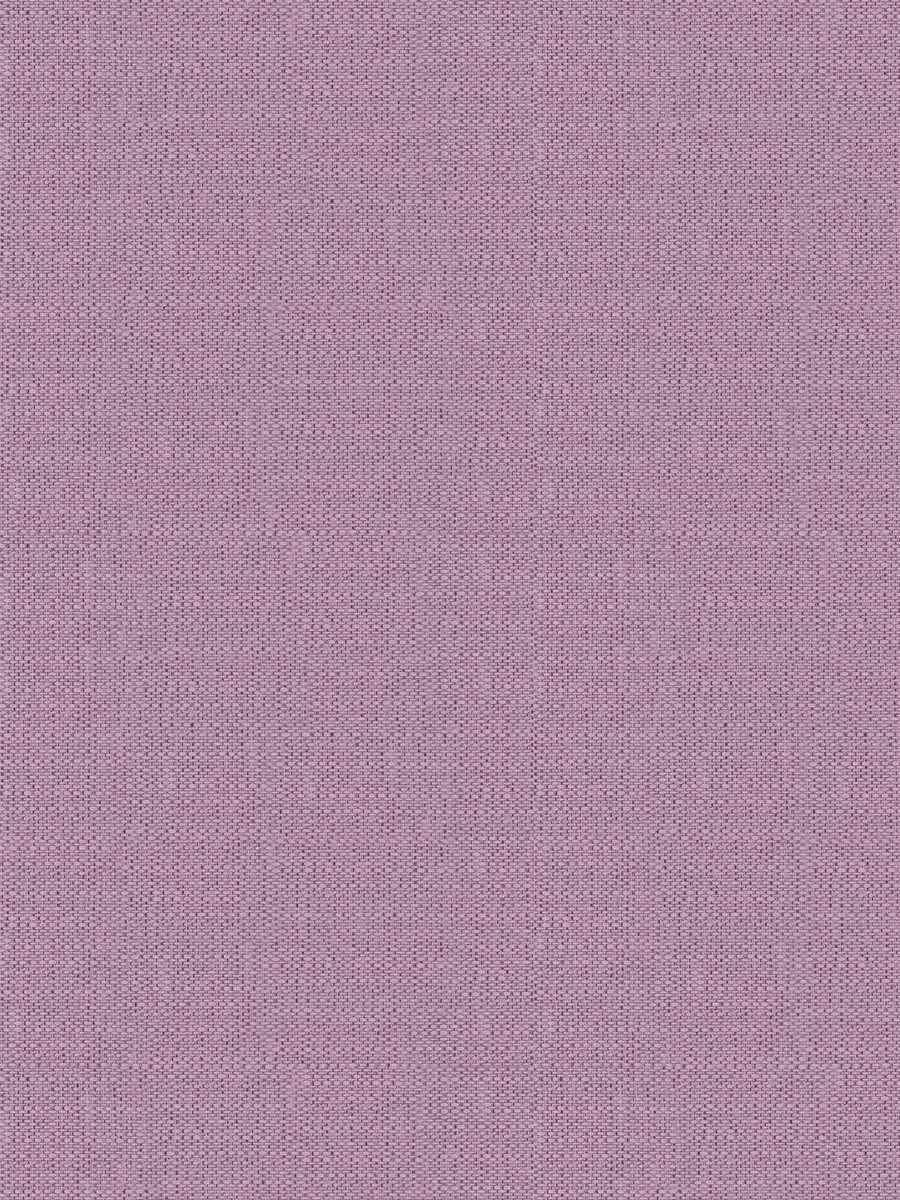 05010 – Lavender