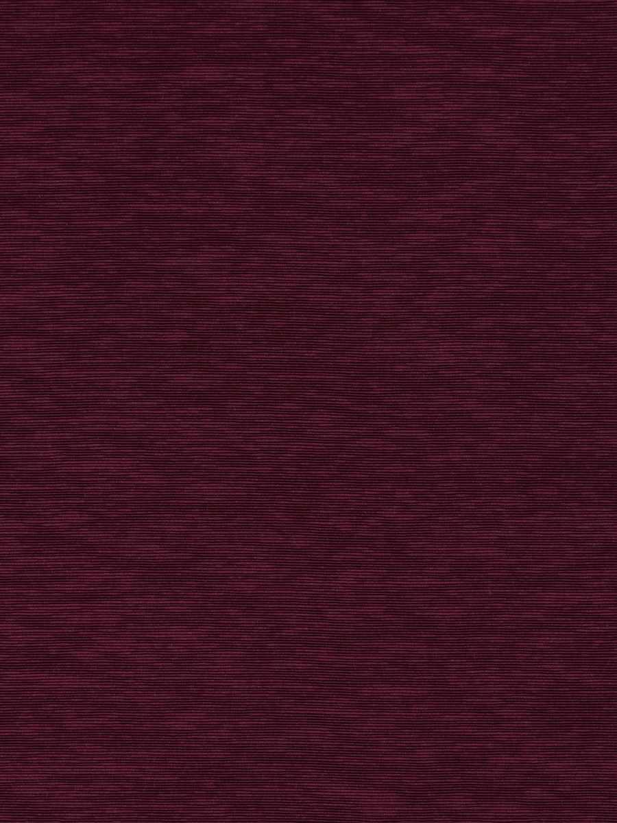 04993 – Boysenberry