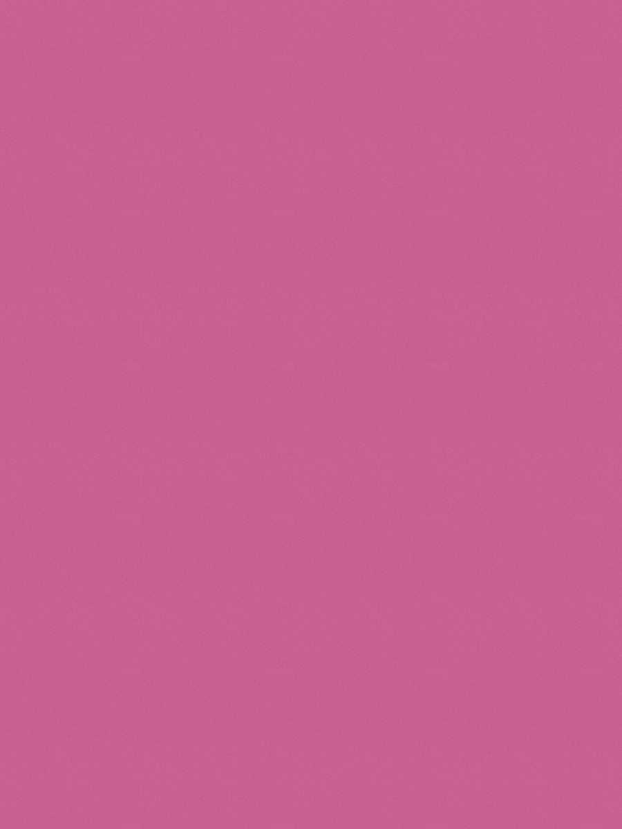 02022 – Fuchsia