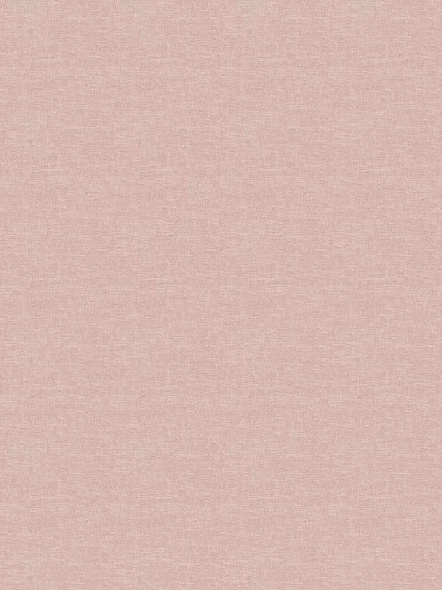 04950 – Blossom