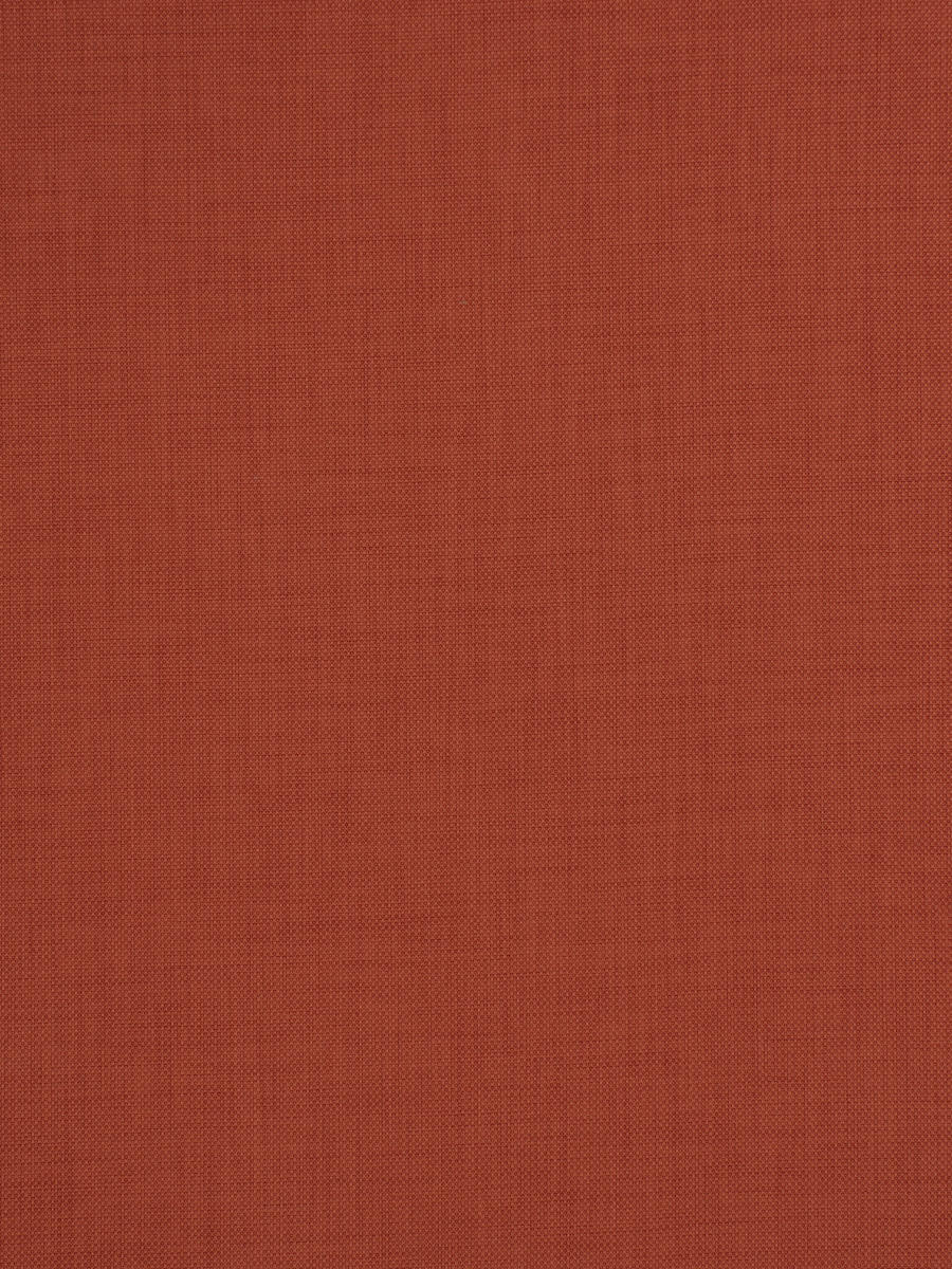 02930 – Coral