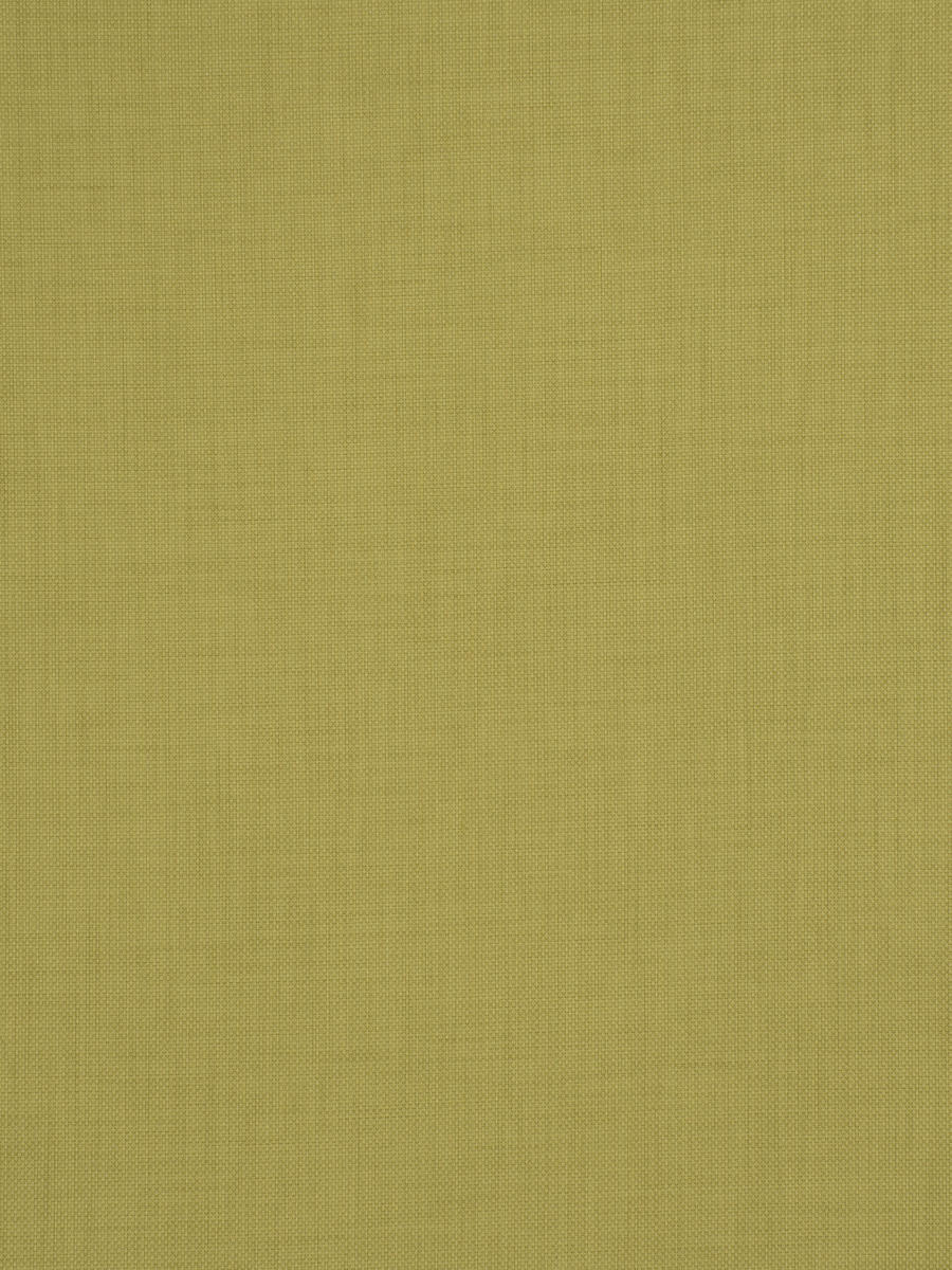 02930 – Celery