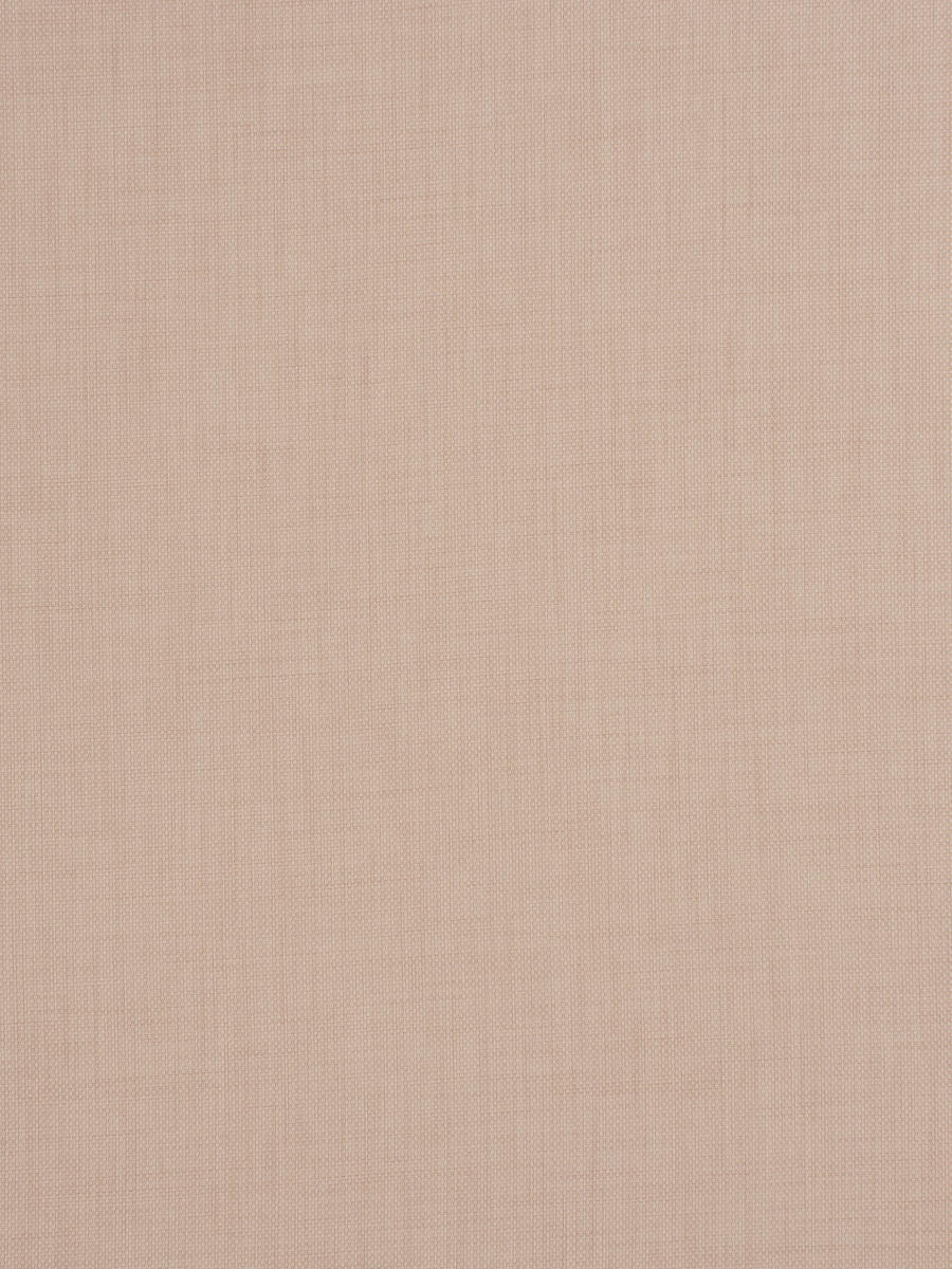 02930 – Carnation