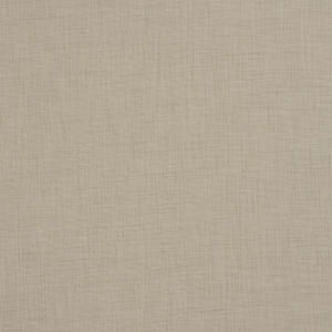 02930 – Fawn