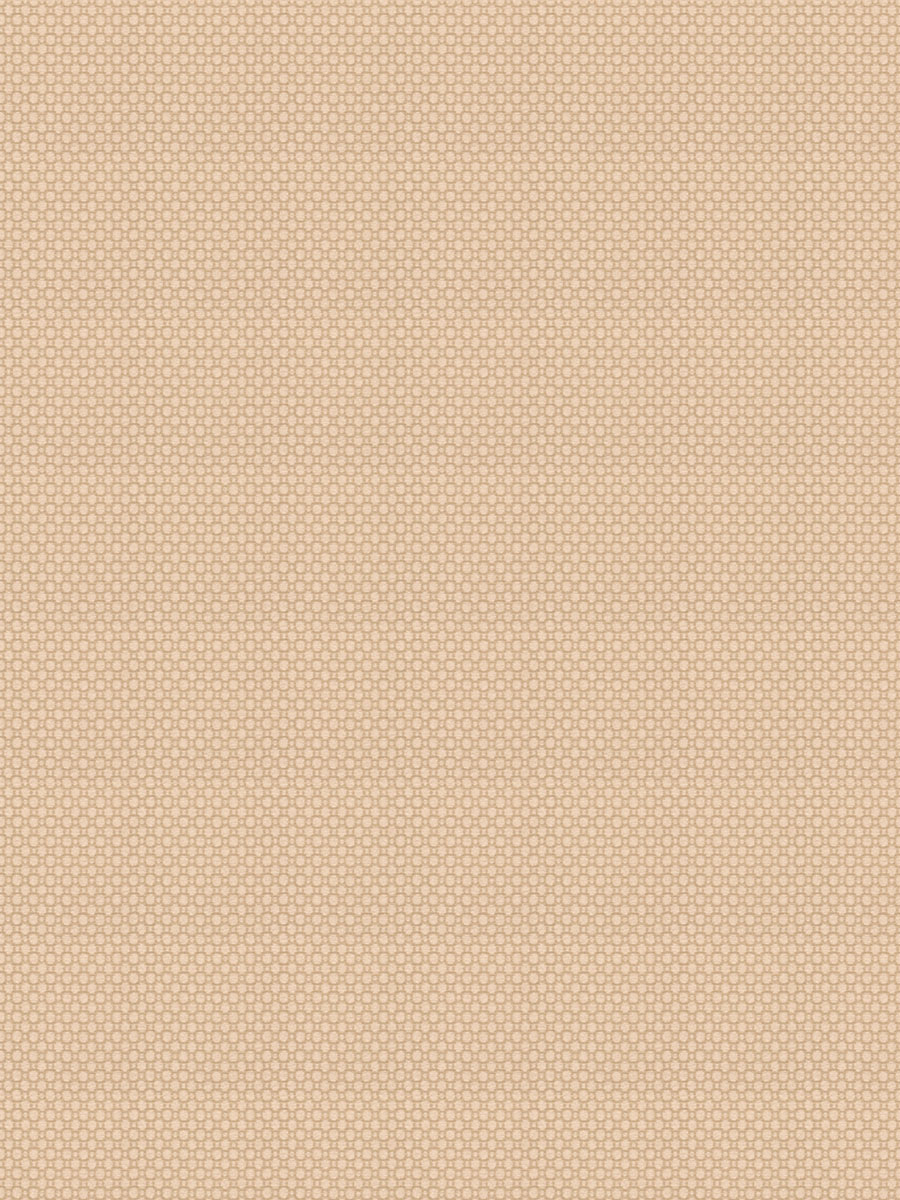 03720 – Cashmere