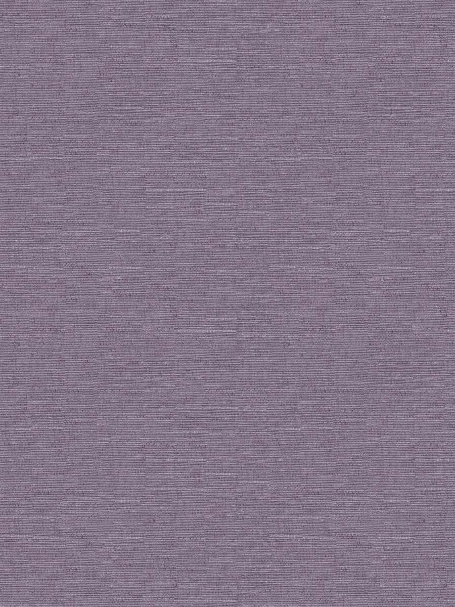 04100 – Iris