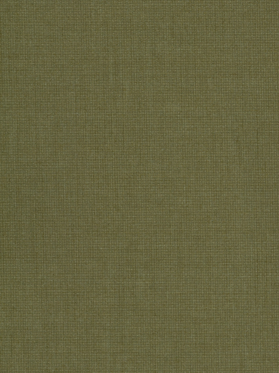 03970 – Olive