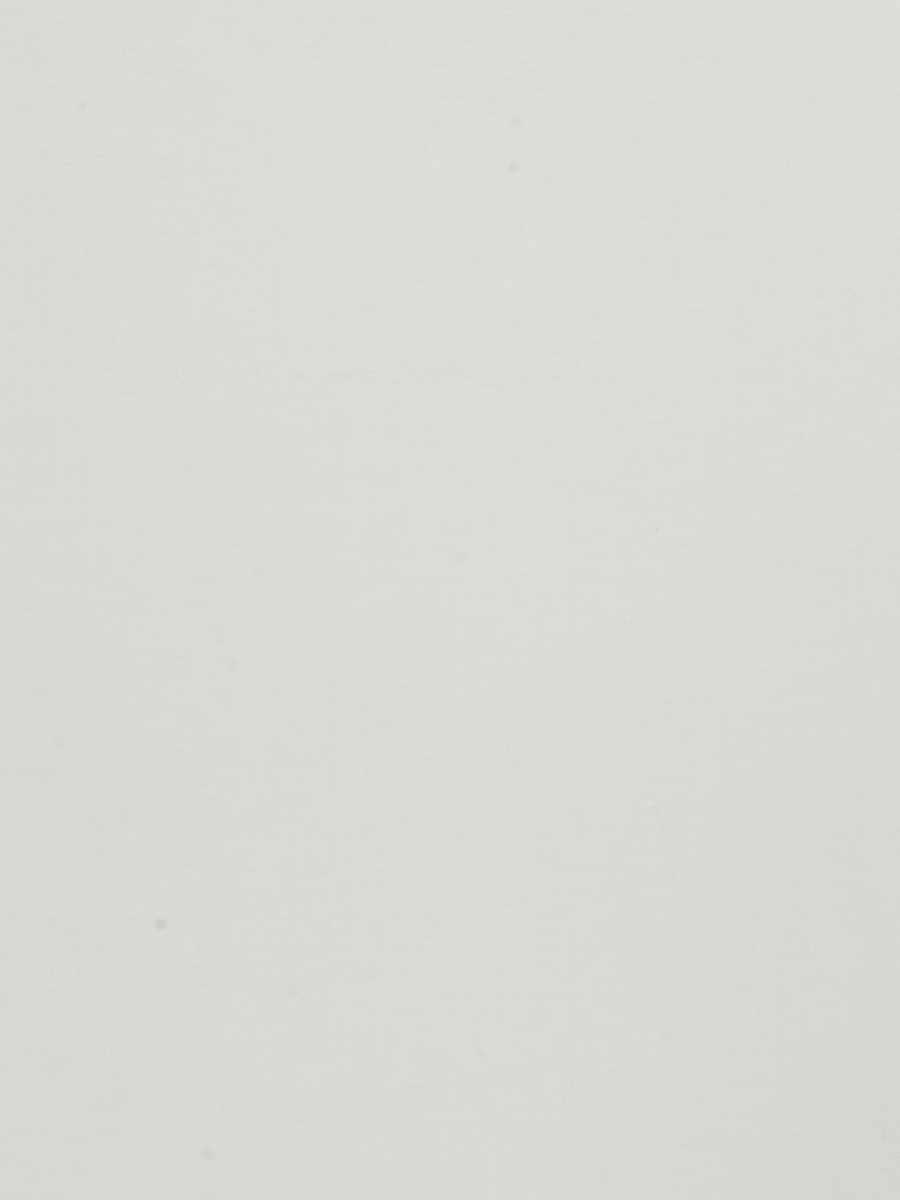 03921 – Ivory
