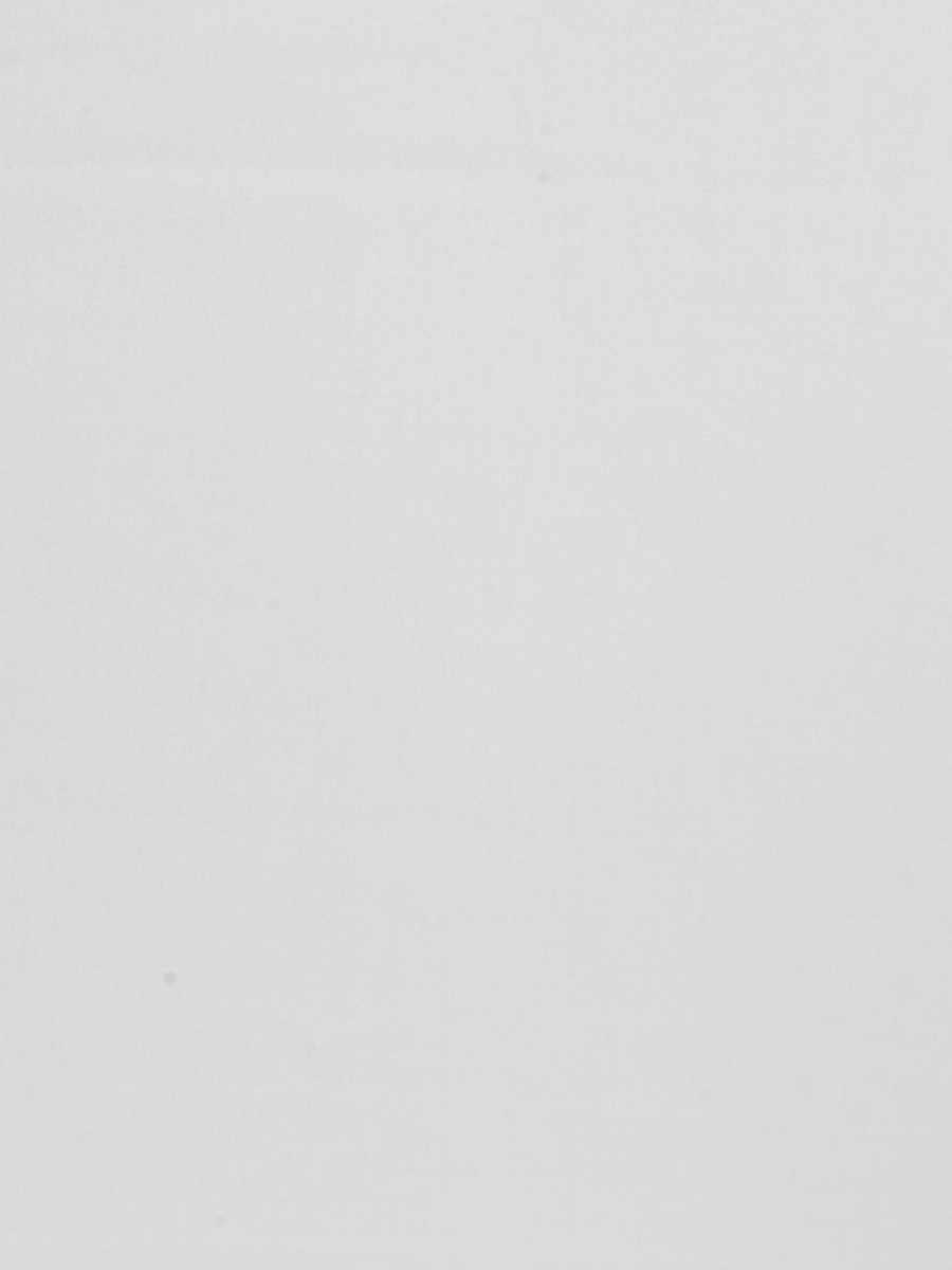 03921 – White