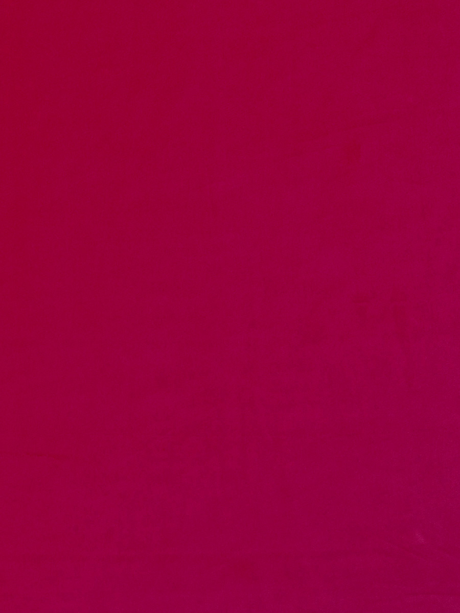 03795 – Fuchsia