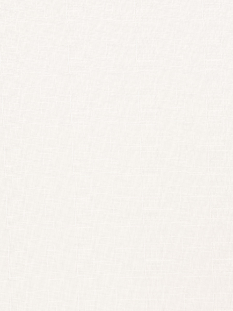03578 – Snow