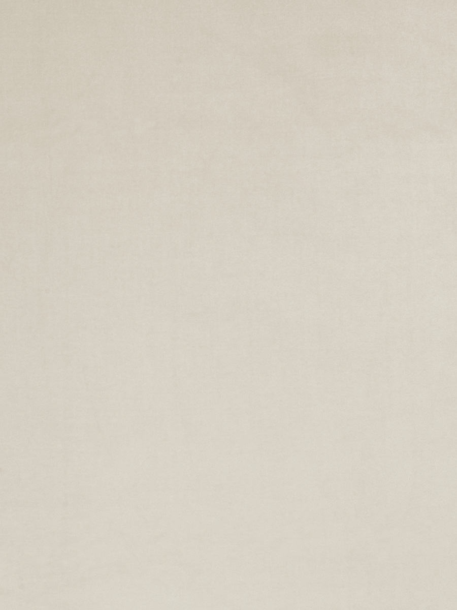 03586 – Bone