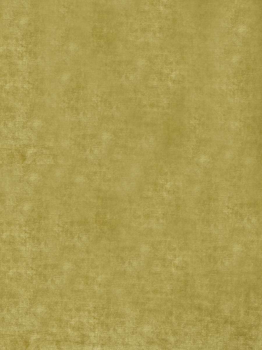 02633 – Cactus