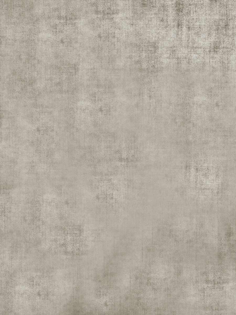 02633 – Mouse