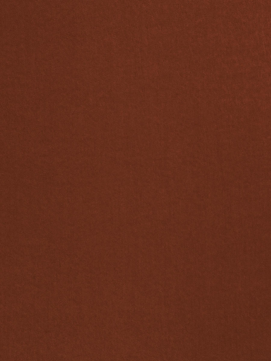 03490 – Cinnamon
