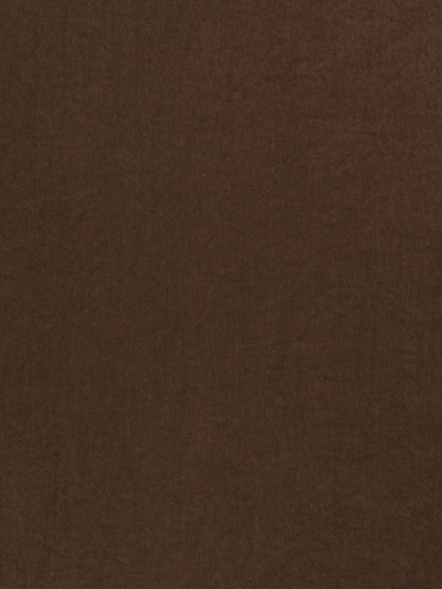 03490 – Nutmeg
