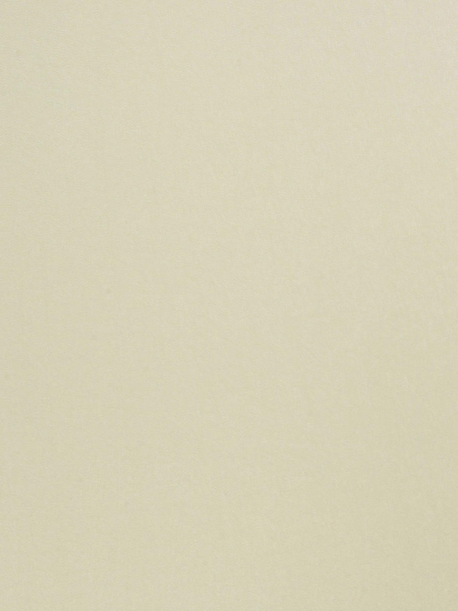 03490 – Magnolia