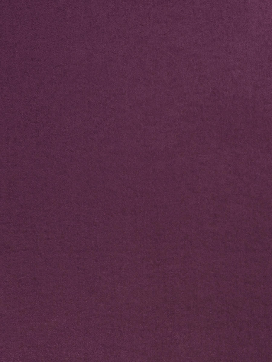 03490 – Orchid