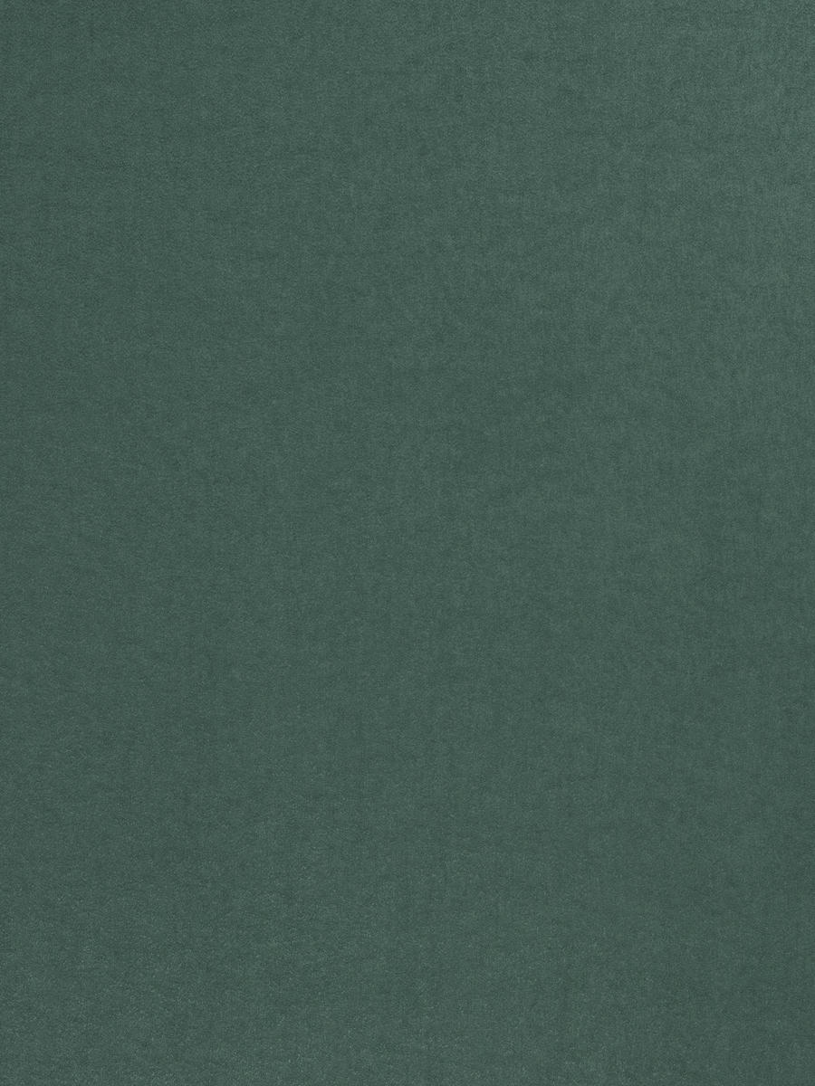 03490 – Spruce