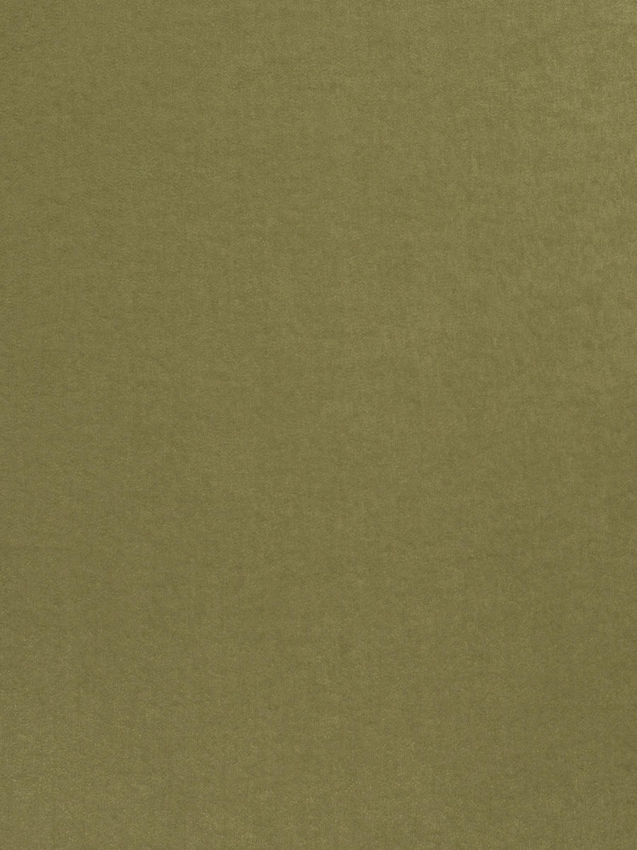 03490 – Olive