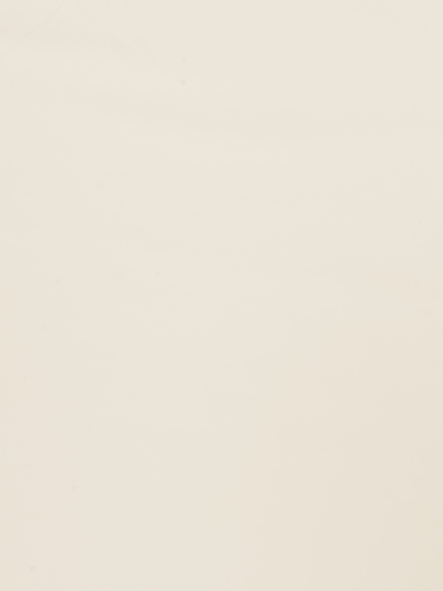 03471 – Ivory