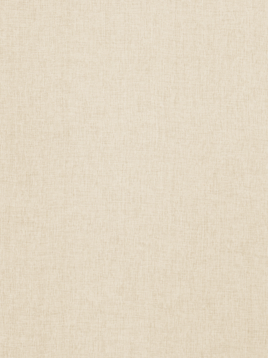 03333 – Bone