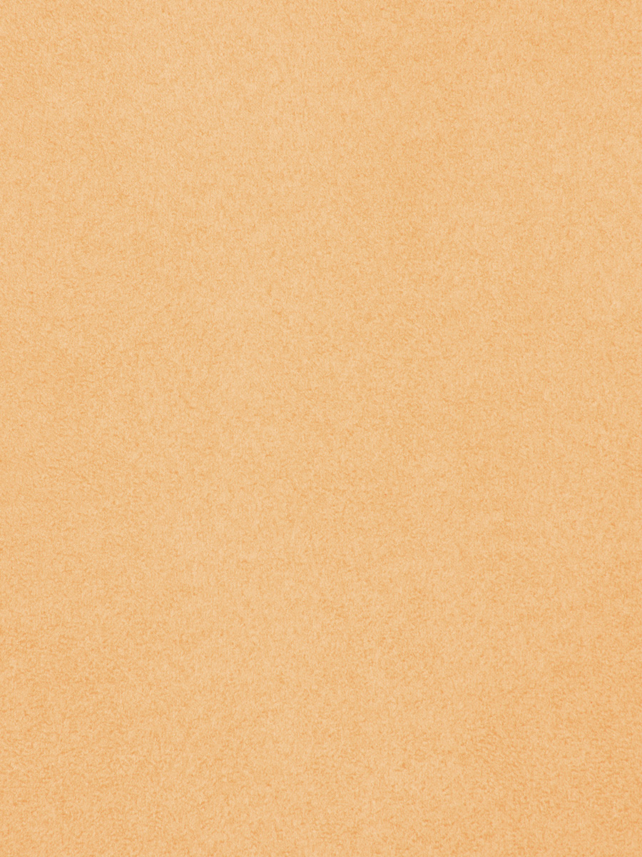 03270 – Sunshine