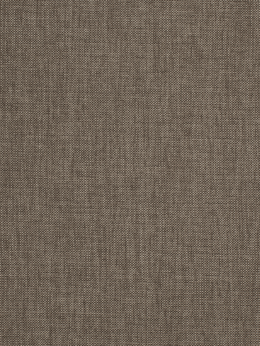 03050 – Chinchilla