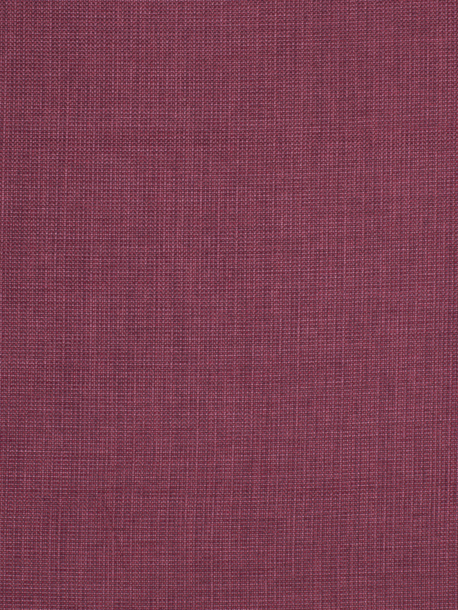 03050 – Peony