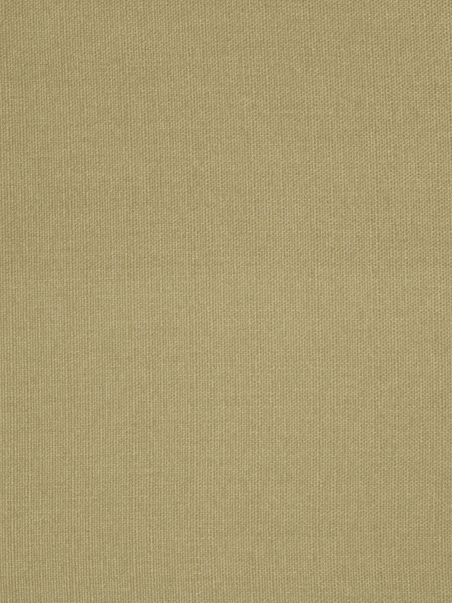 03000 – Moss