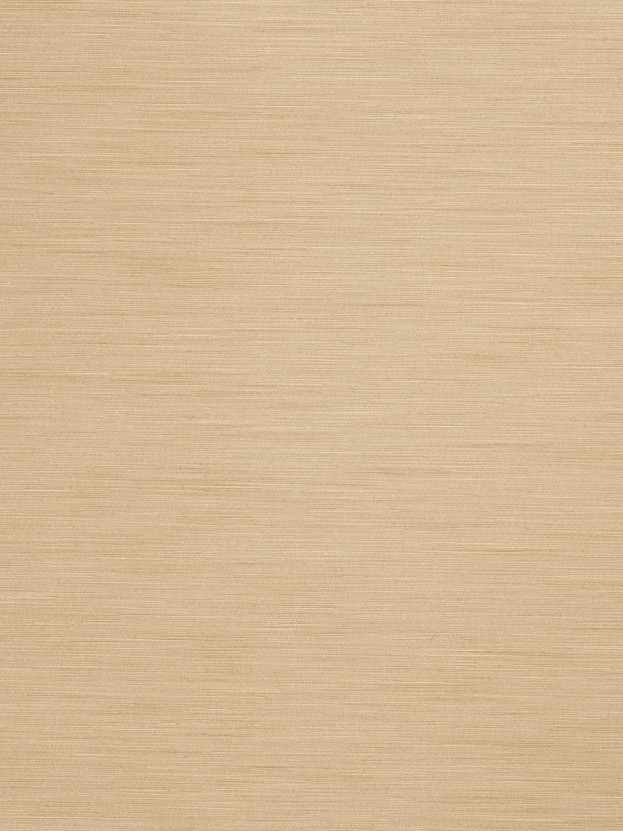 02999 – Camel