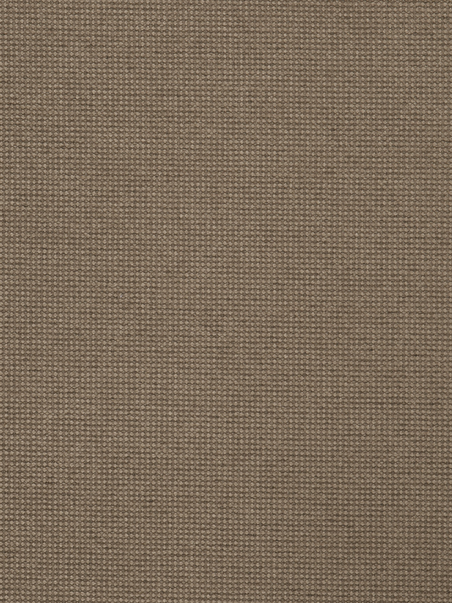 02992 – Fossil