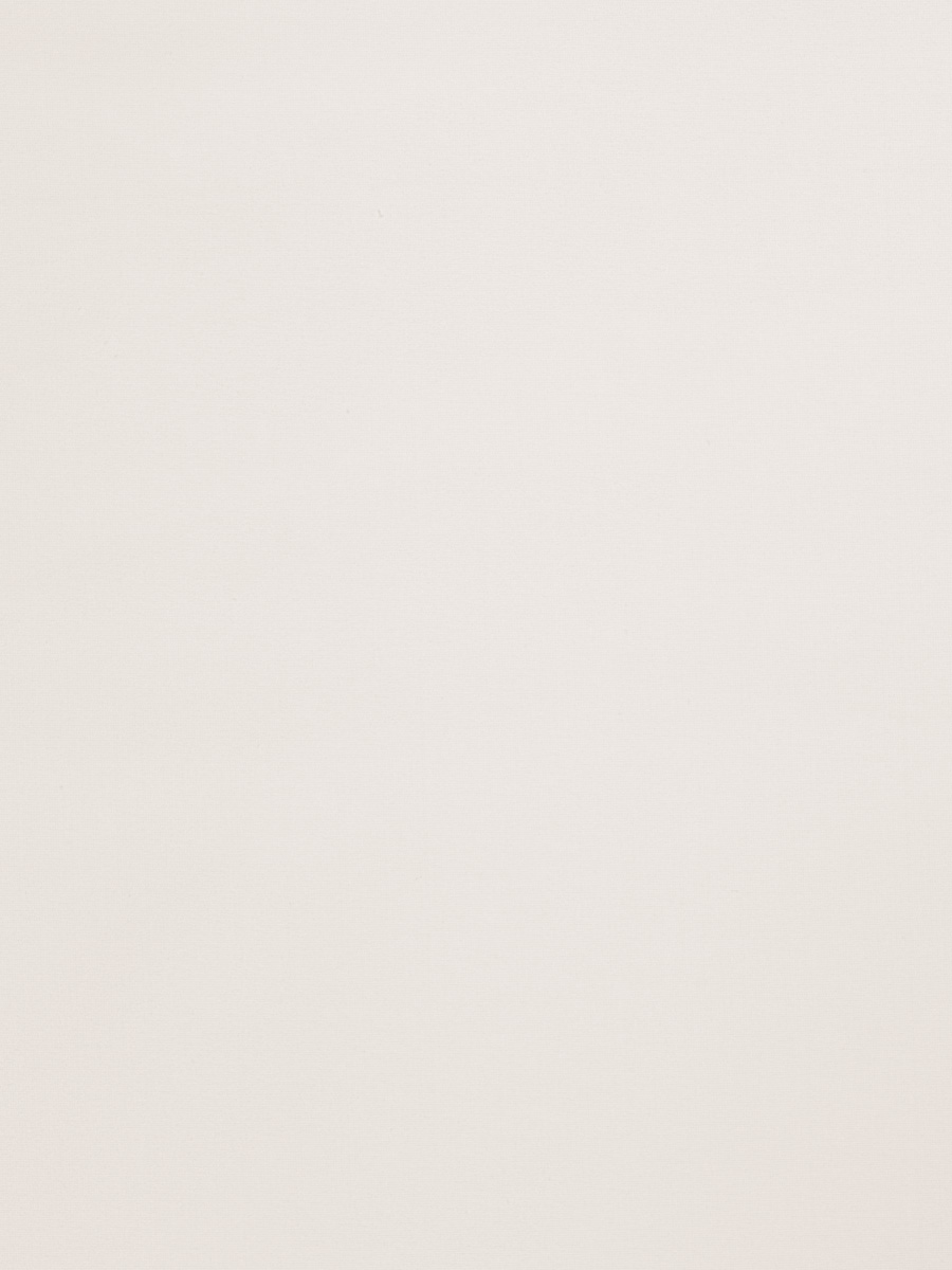03001 – Snow