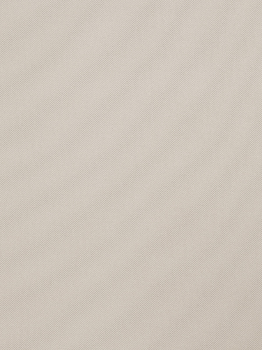 03003 – Fog