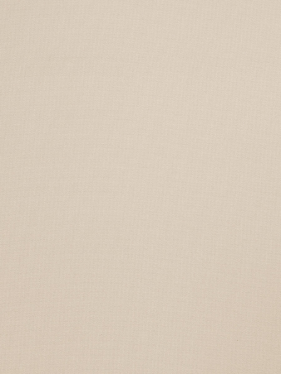 03001 – Ivory