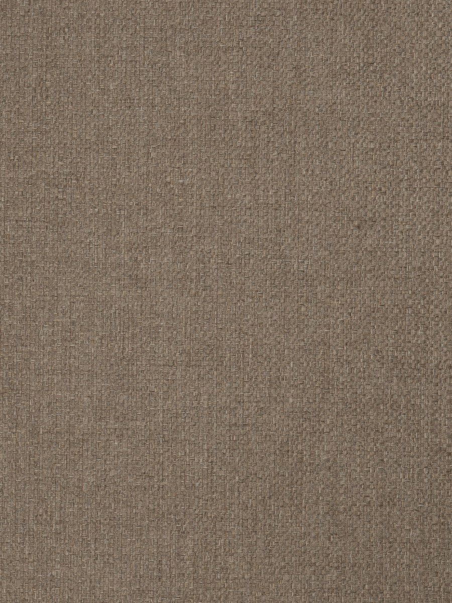 02994 – Fossil
