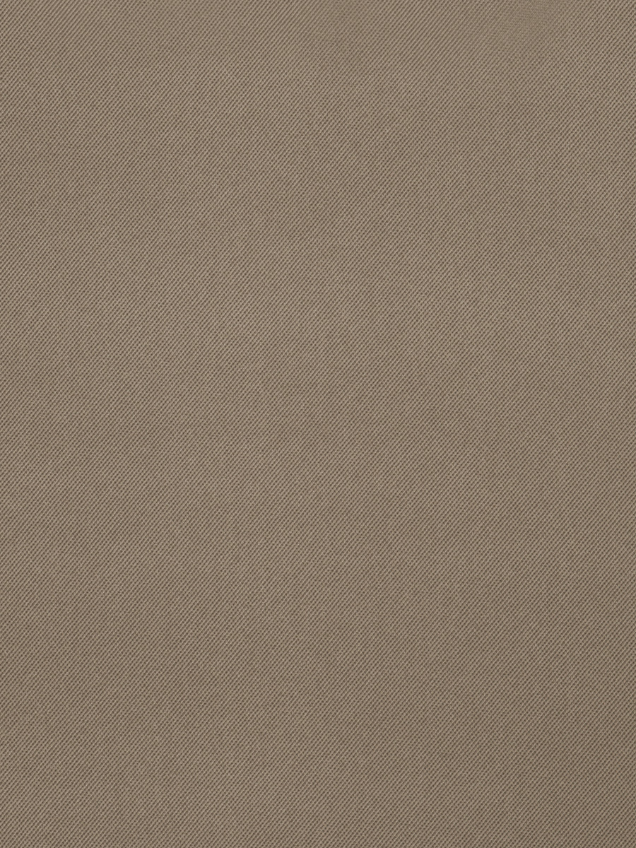 03003 – Fossil