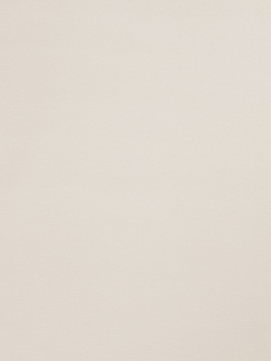 03002 – Swan