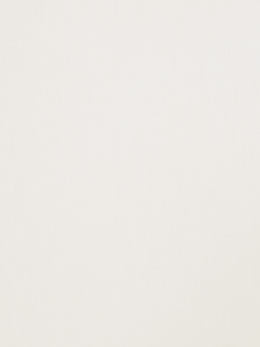 02930 – Snow