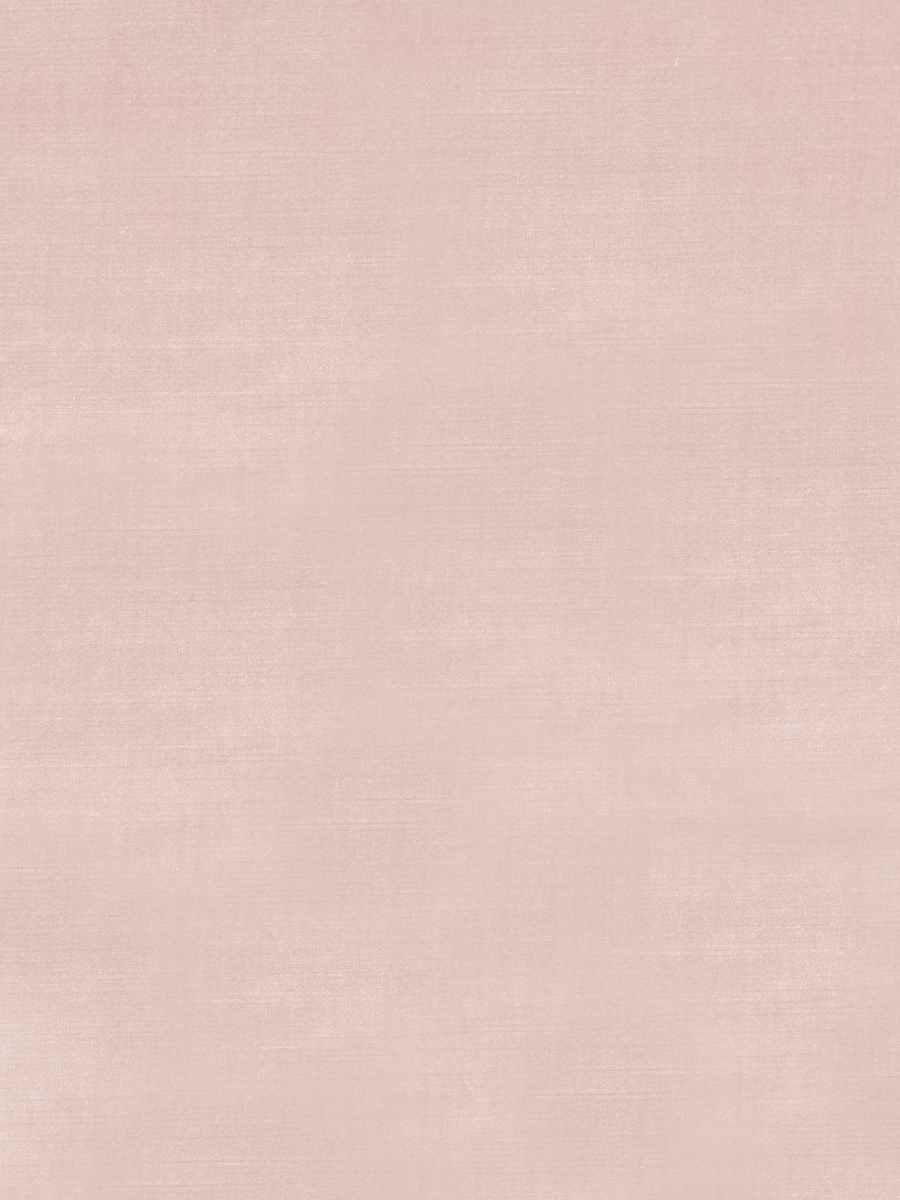 02633 – Coral