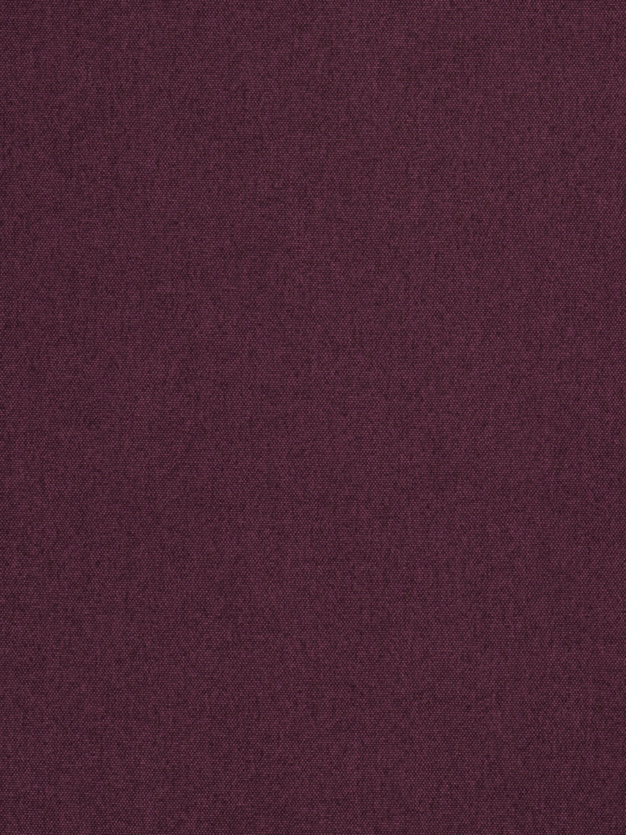 02852 – Eggplant