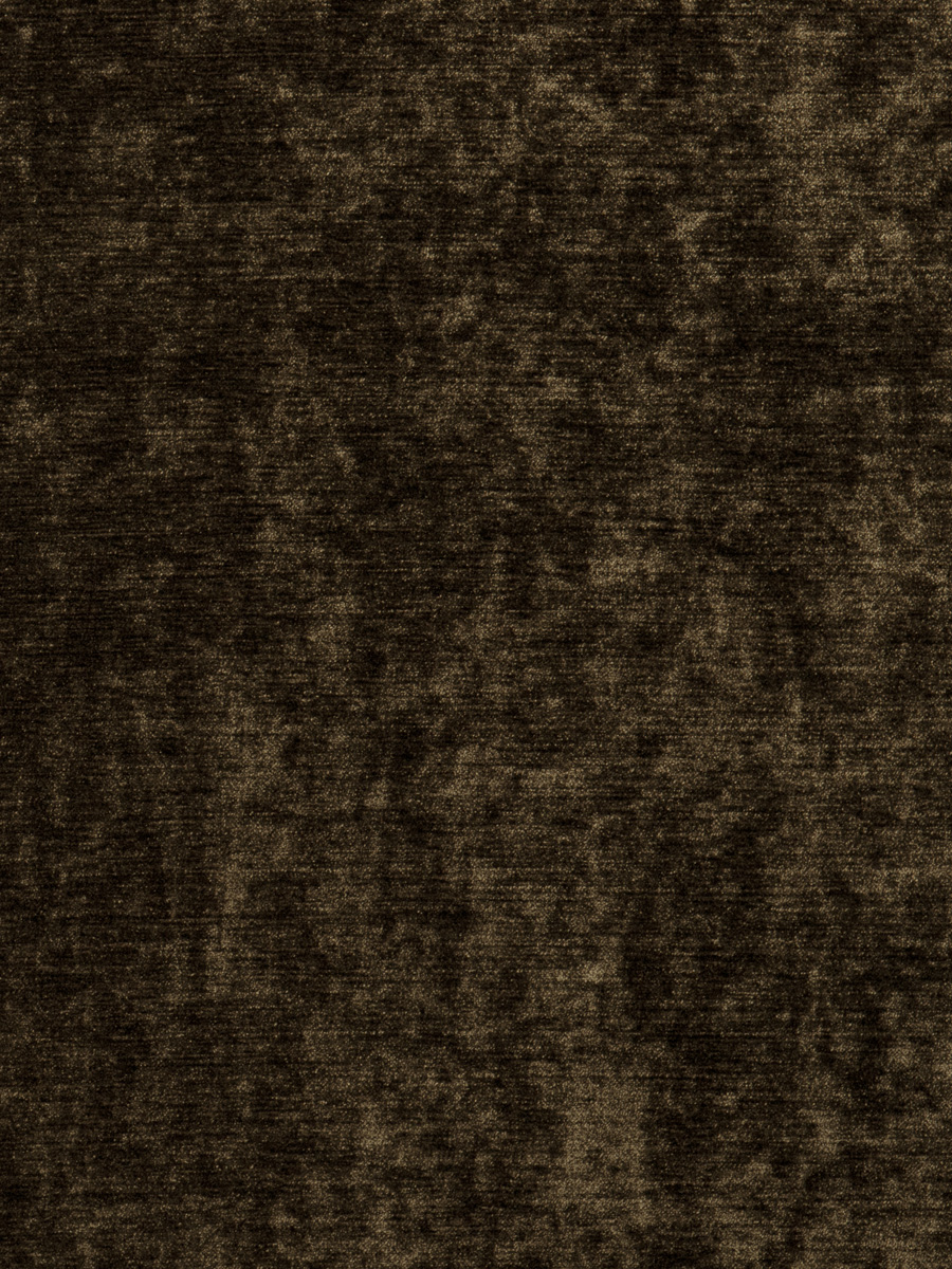 02850 – Bison