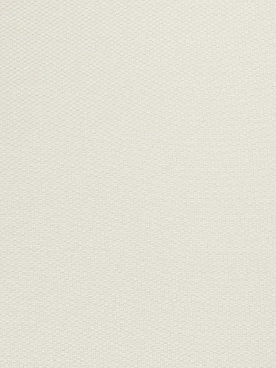 02851 – Egret