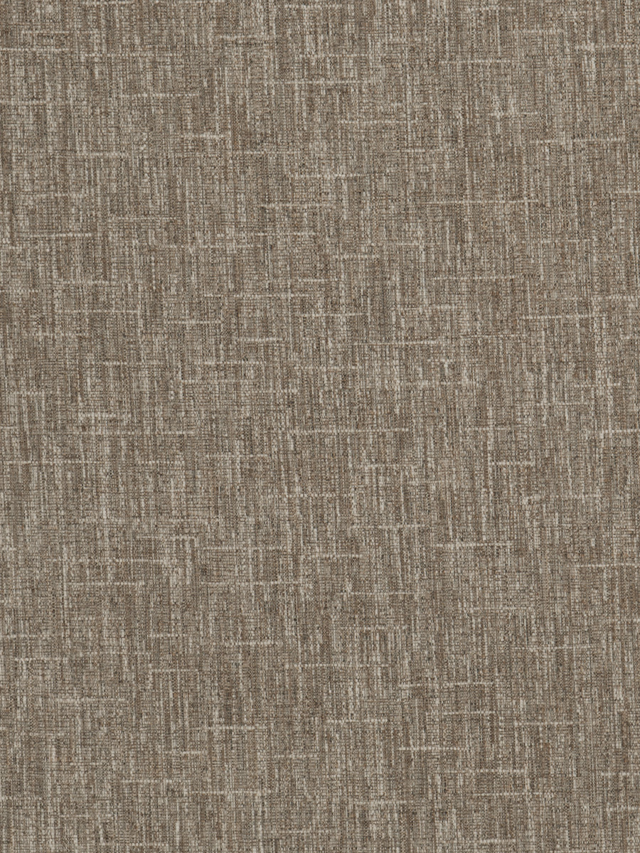 02862 – Beech