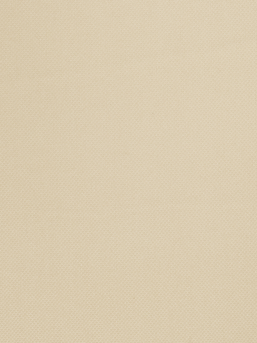 02860 – Bone