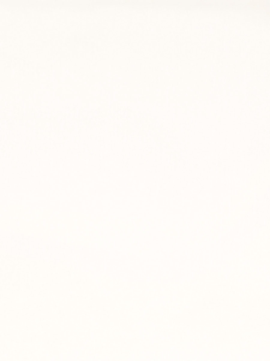 02528 – Ivory
