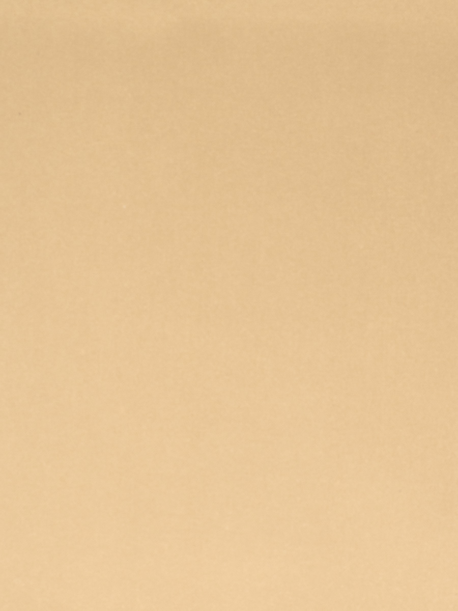 02528 – Butterscotch