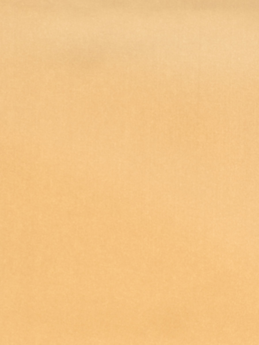 02528 – Tan